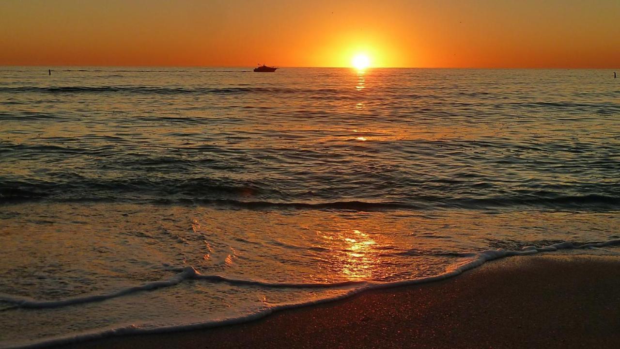 Coconut Paradise St. Pete Beach Ngoại thất bức ảnh