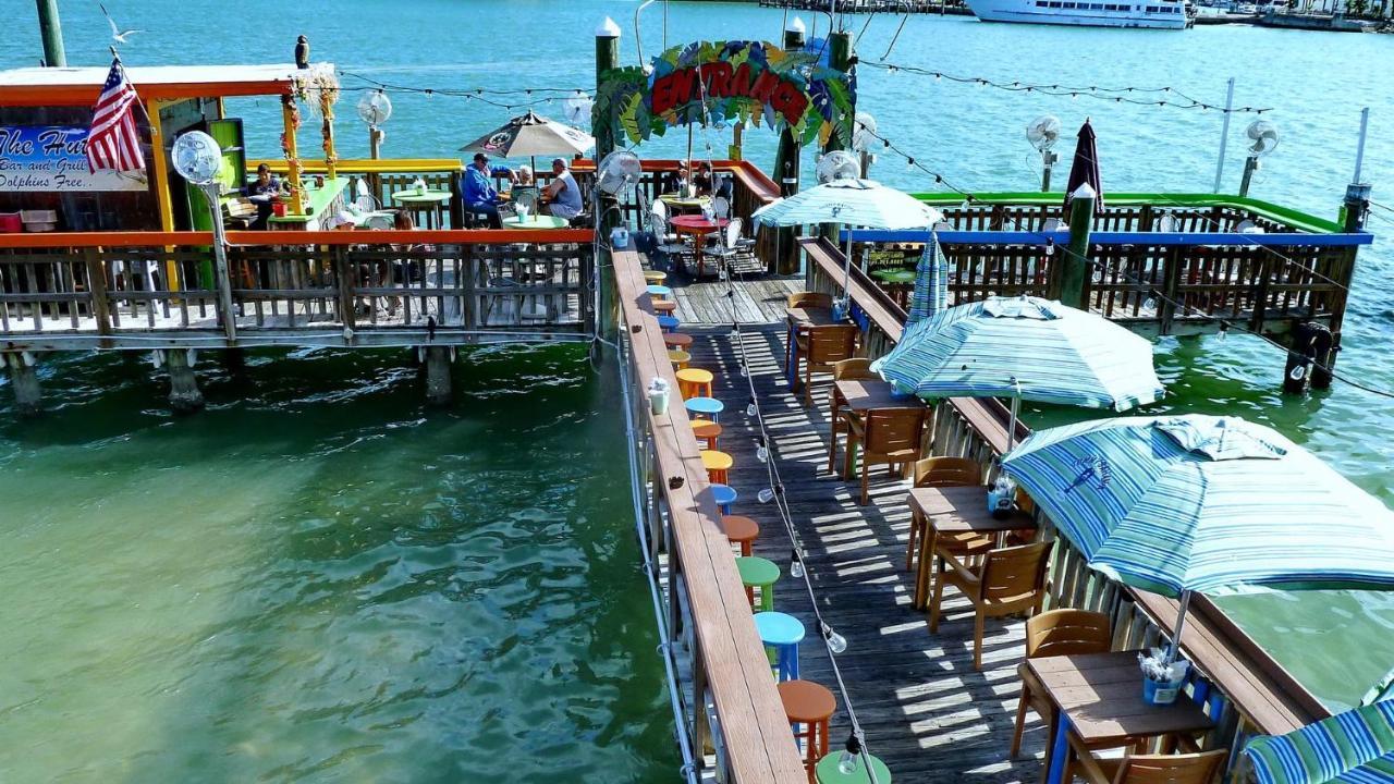 Coconut Paradise St. Pete Beach Ngoại thất bức ảnh