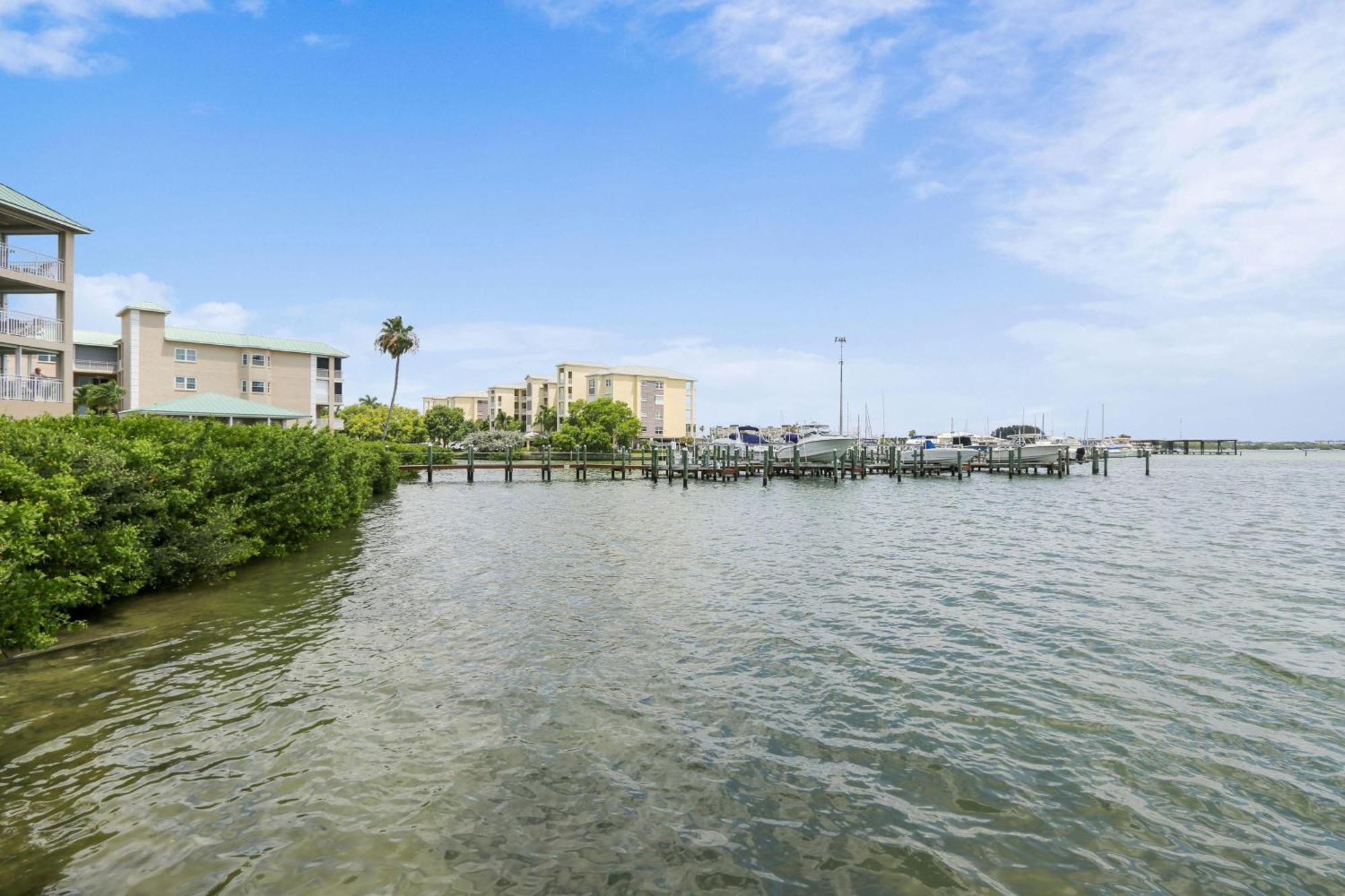 Coconut Paradise St. Pete Beach Ngoại thất bức ảnh