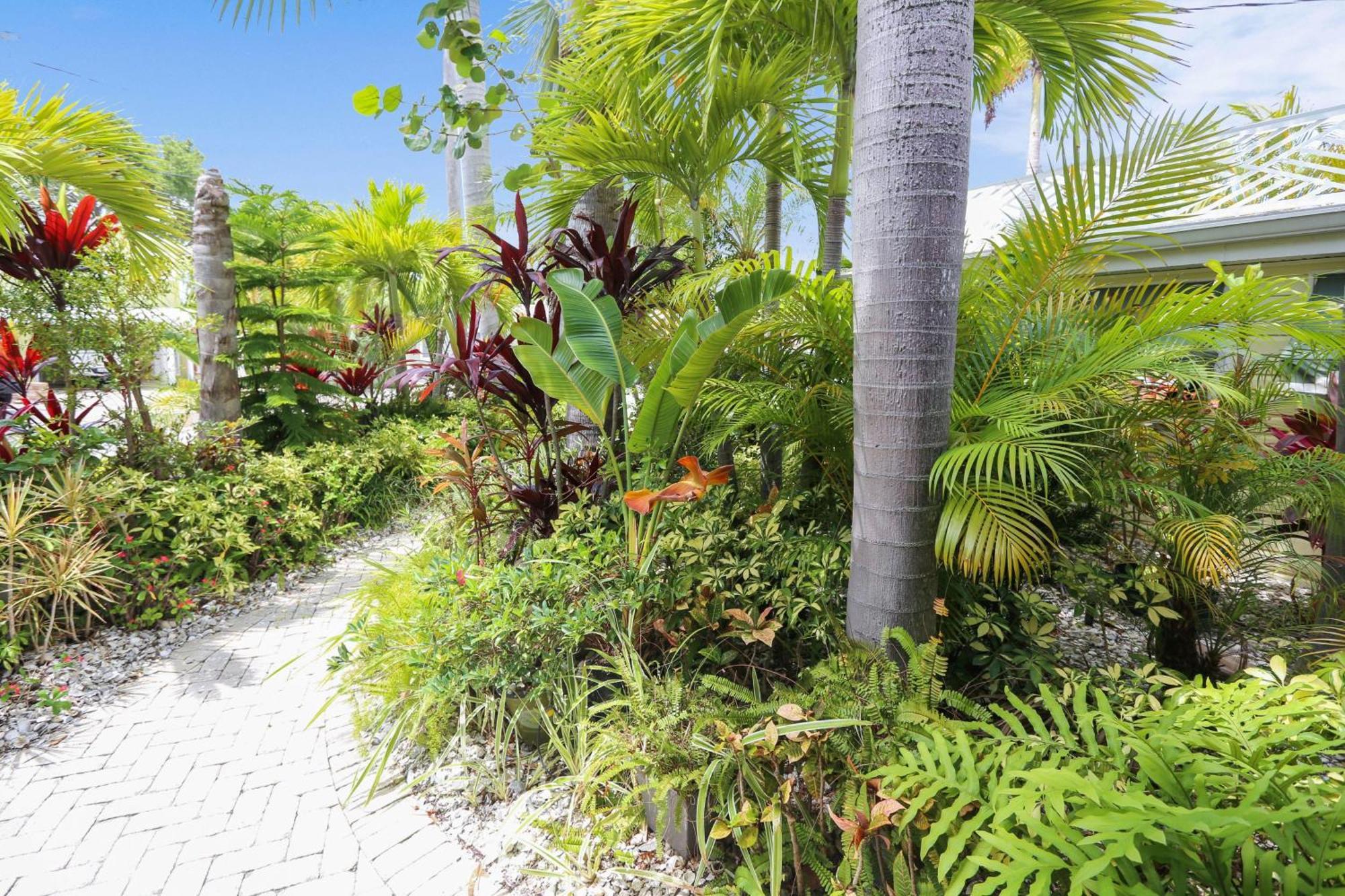 Coconut Paradise St. Pete Beach Ngoại thất bức ảnh
